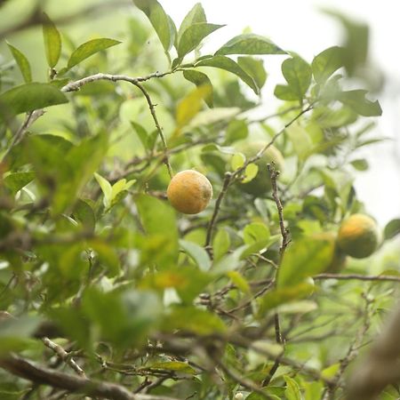 Spice Forest Plantation Homestay, Thekkady Vandiperiyar Экстерьер фото