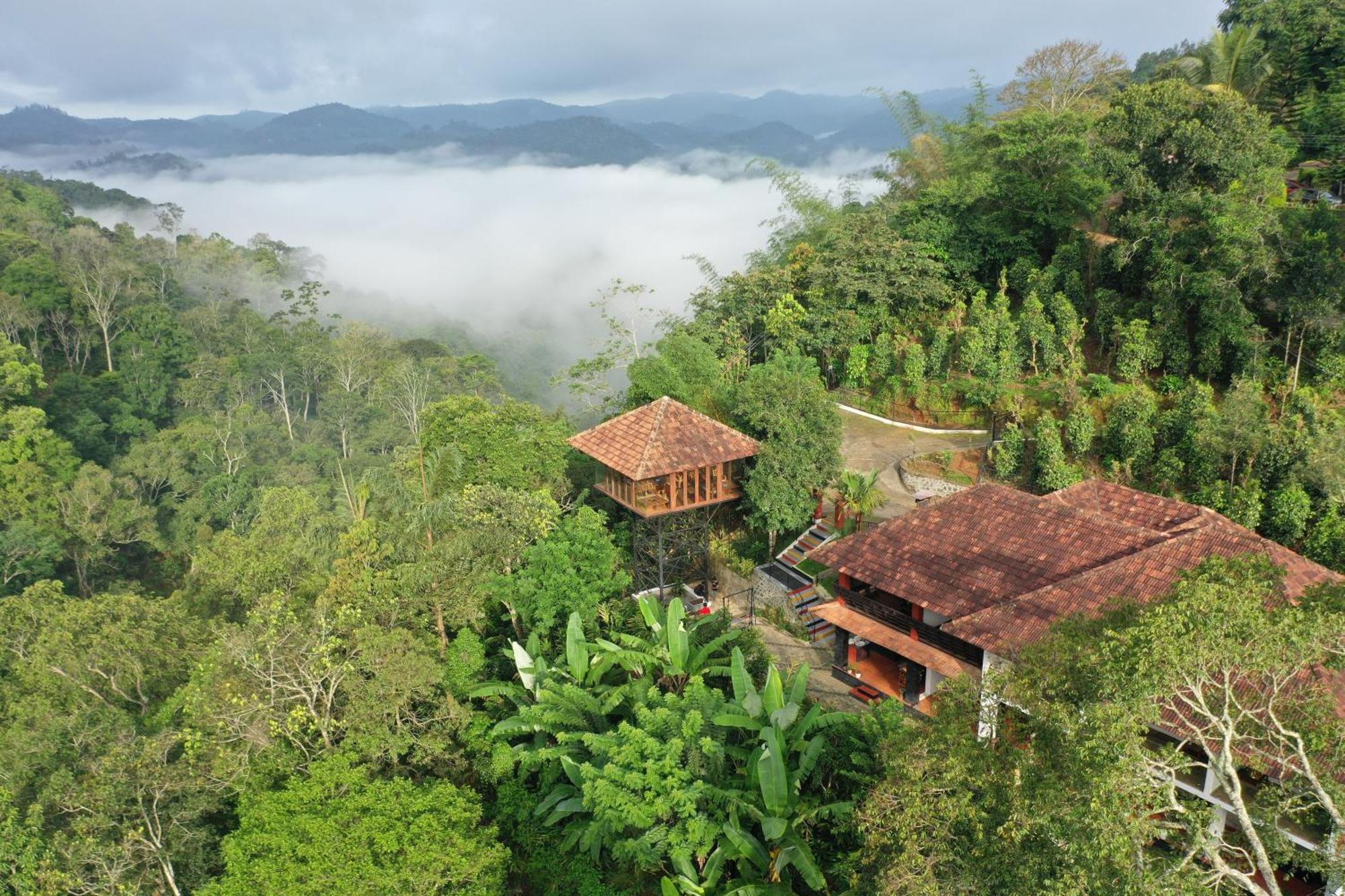 Spice Forest Plantation Homestay, Thekkady Vandiperiyar Экстерьер фото