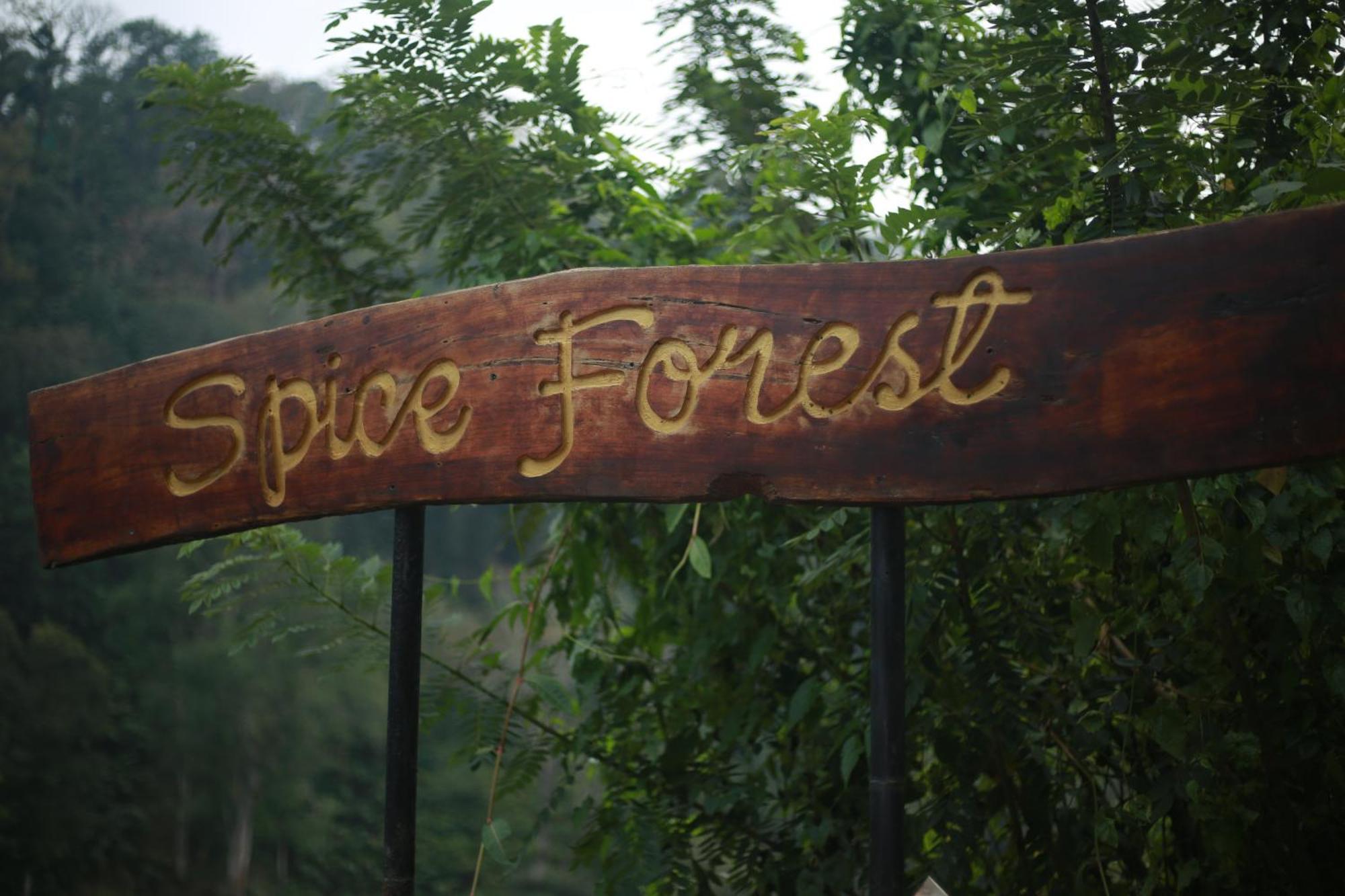 Spice Forest Plantation Homestay, Thekkady Vandiperiyar Экстерьер фото